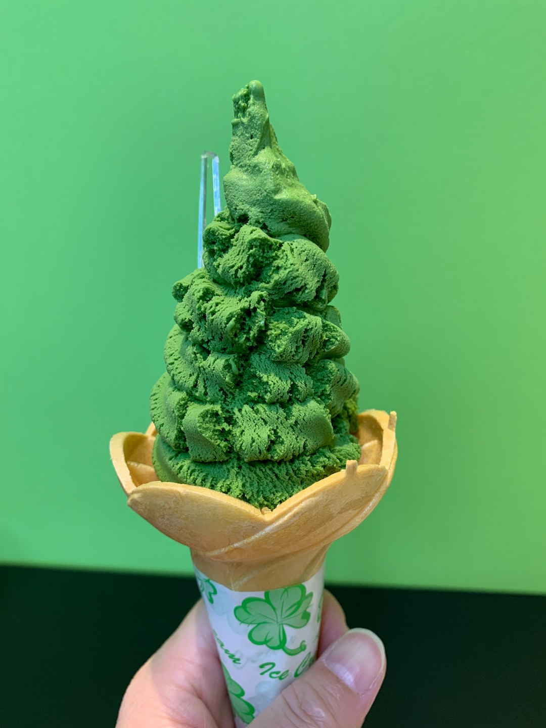 Vegetable-Based Frozen Fantasies (image credits: unsplash)