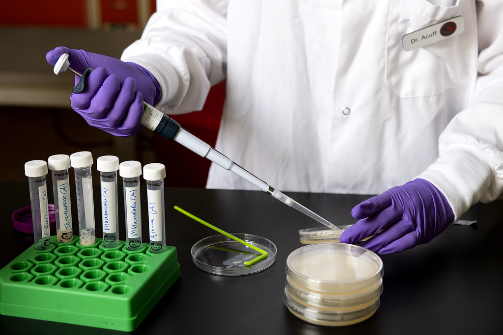 FDA’s Commitment (image credits: flickr)