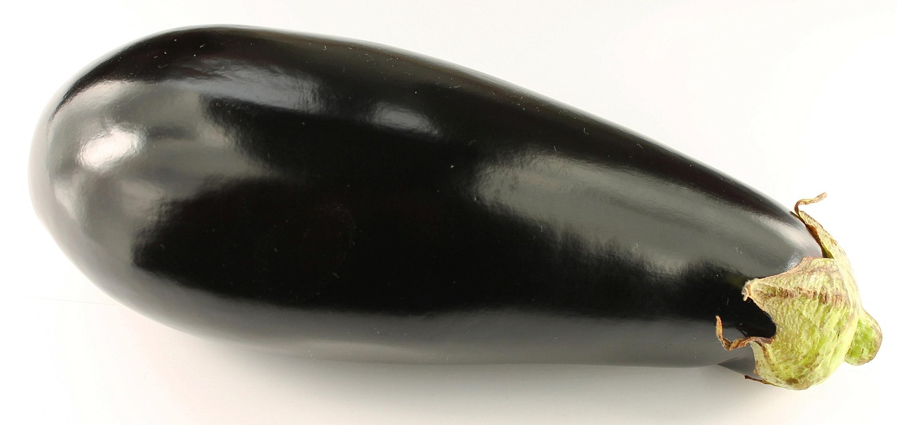 Eggplant: The Purple Protector (image credits: pixabay)