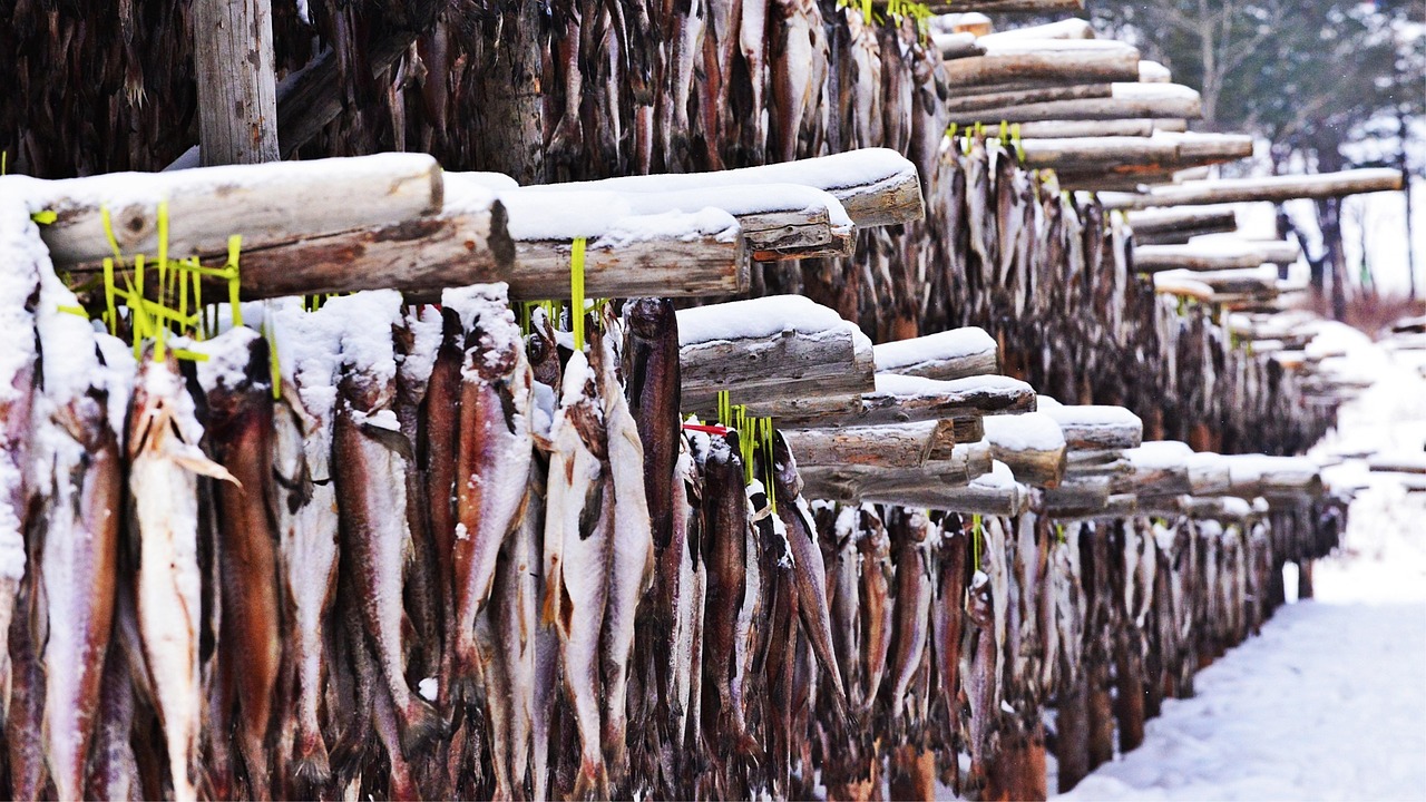 What Makes Alaska Pollock Perfect for Fast Food (image credits: pixabay)