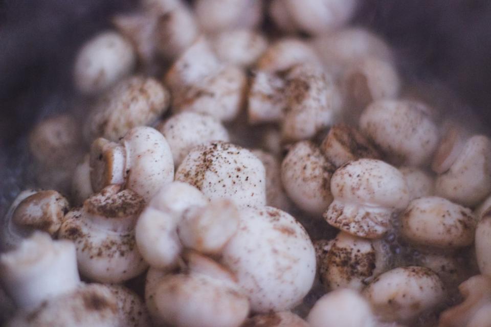 Mushrooms: The Protein Degradation Danger (image credits: stocksnap)