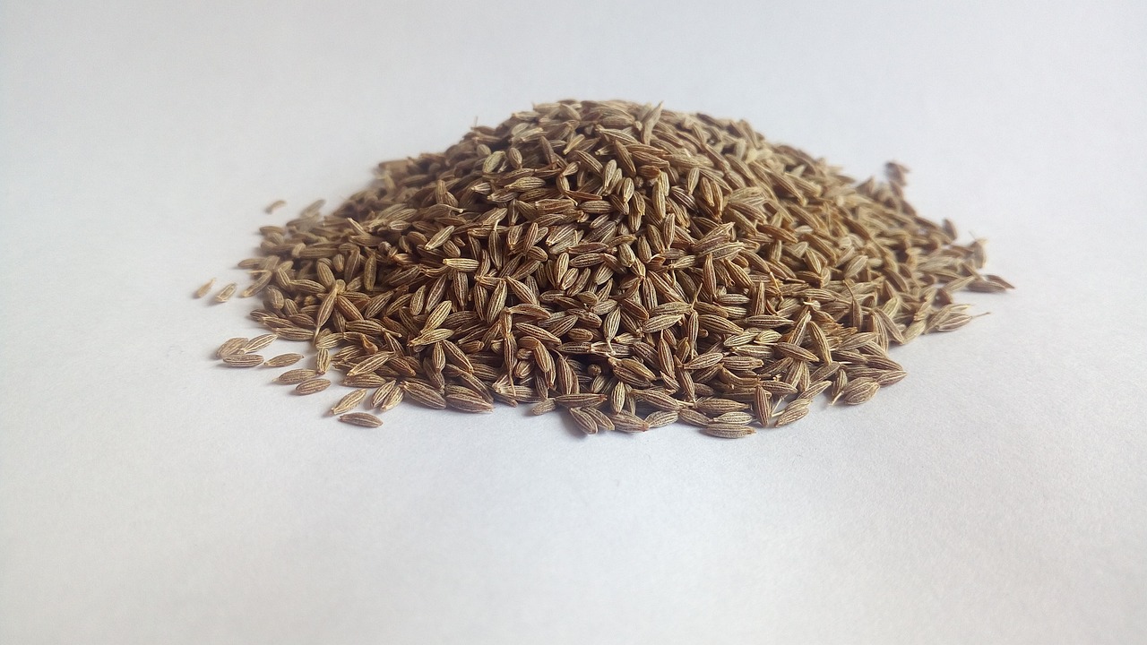 12. Cumin (Cuminum cyminum) (image credits: pixabay)