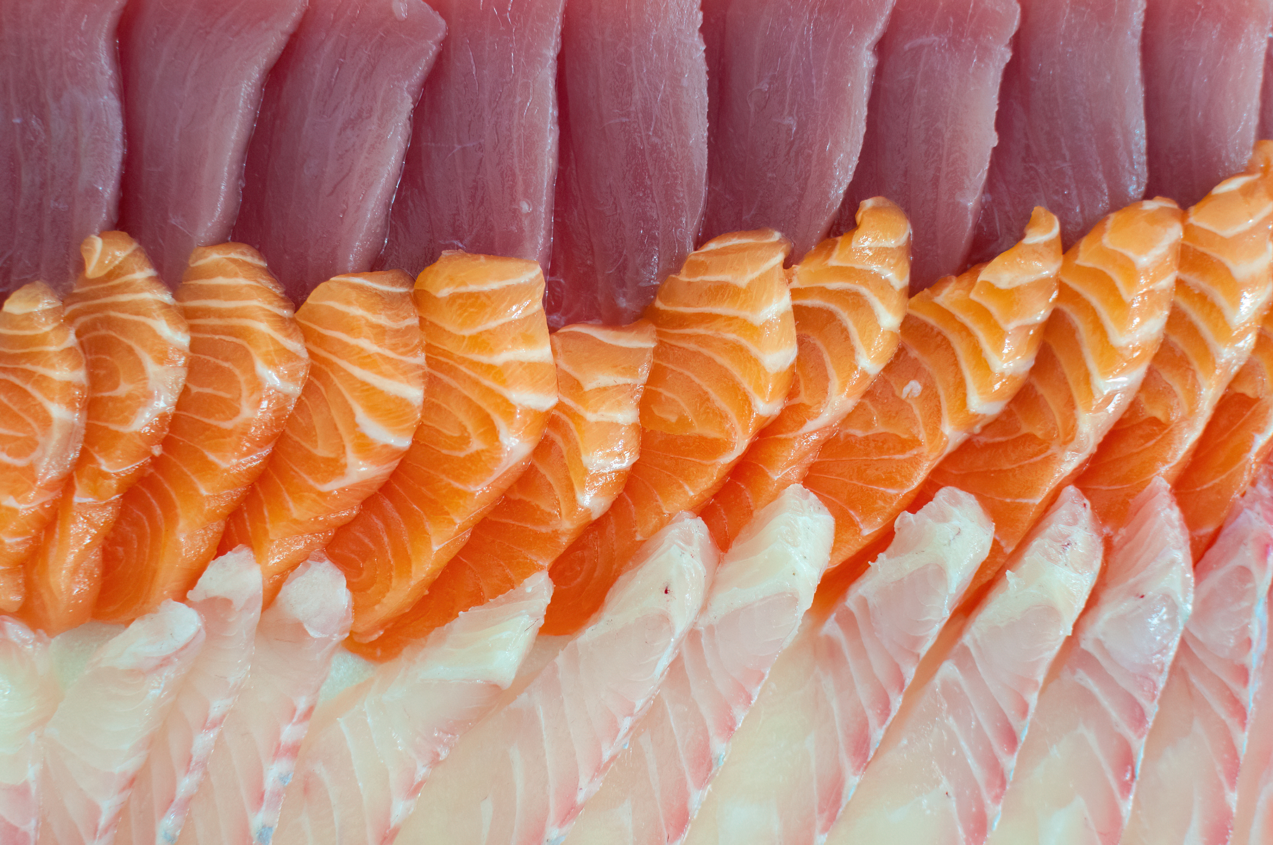 White Tuna: The Dangerous Deception (image credits: wikimedia)