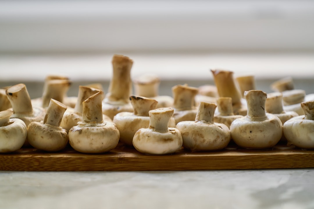Mushrooms - The Protein Breakdown (image credits: unsplash)
