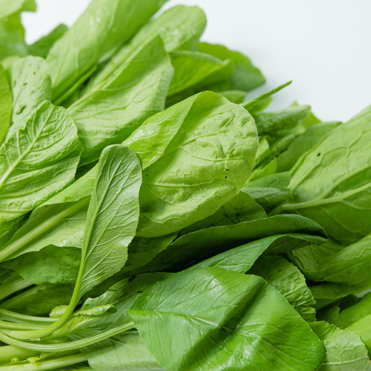 Spinach (image credits: pixabay)