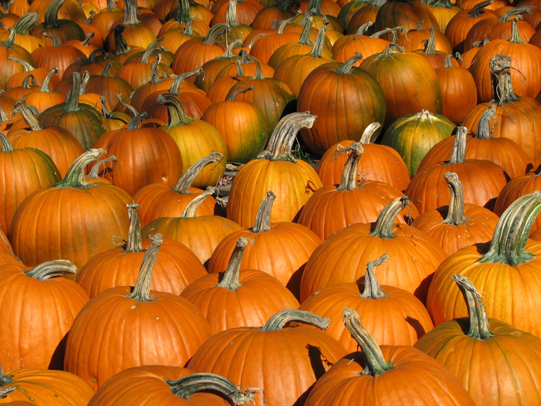 7. How Do Global Events Impact Food Prices? (image credits: unsplash)