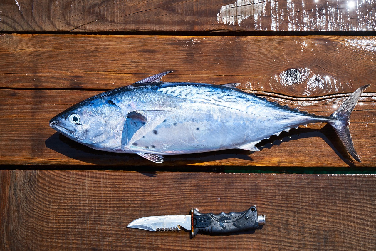 Nutrition in Lab-Grown Fish (image credits: pixabay)