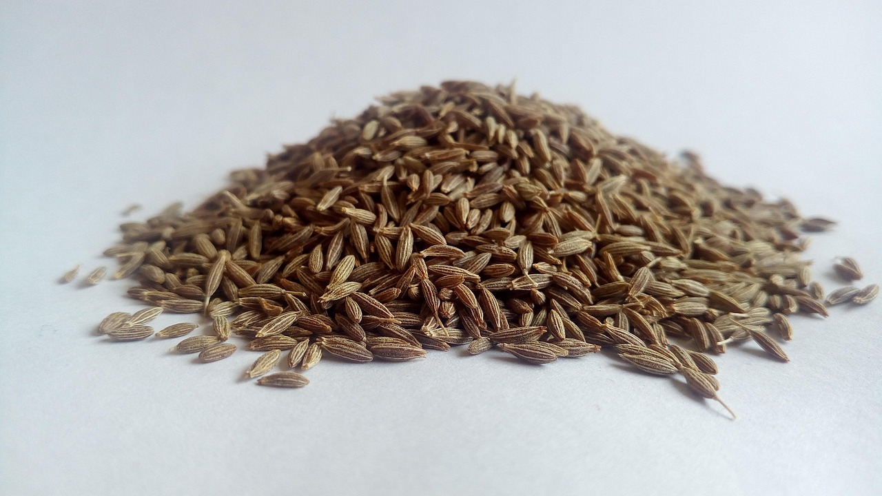 Ground Cumin: From Earthy Warmth to Bitter Disappointment (image credits: pixabay)