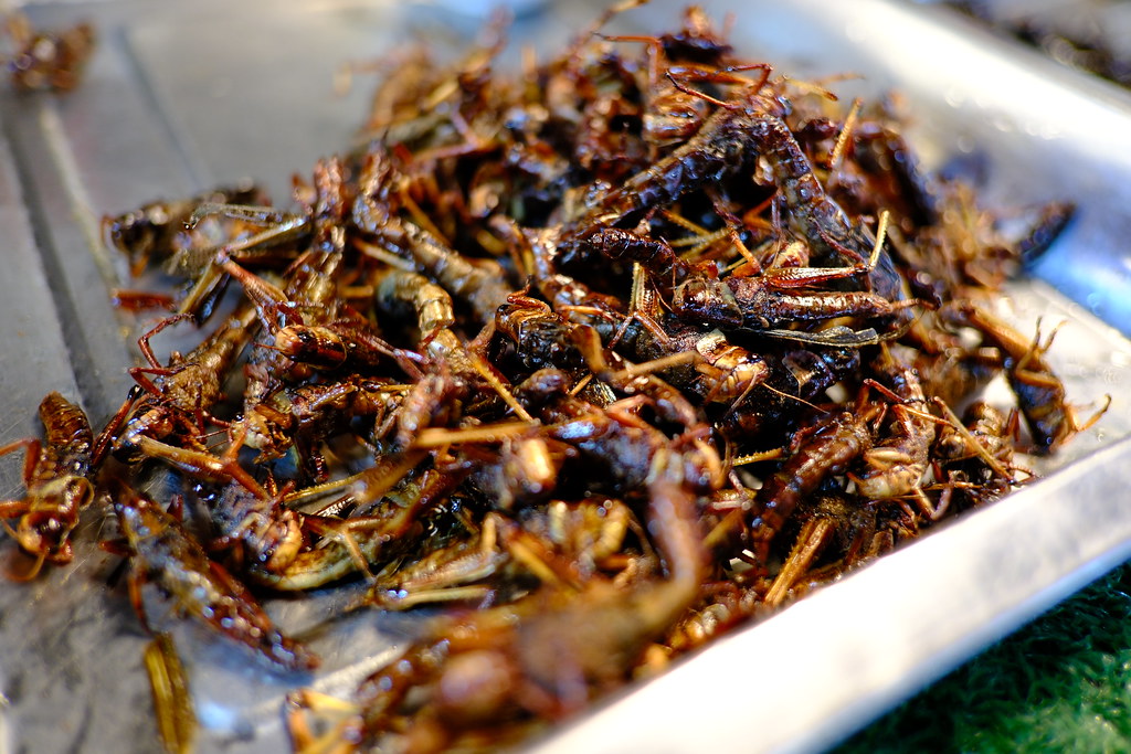 Cricket Flour: Baking with Bugs (image credits: flickr)