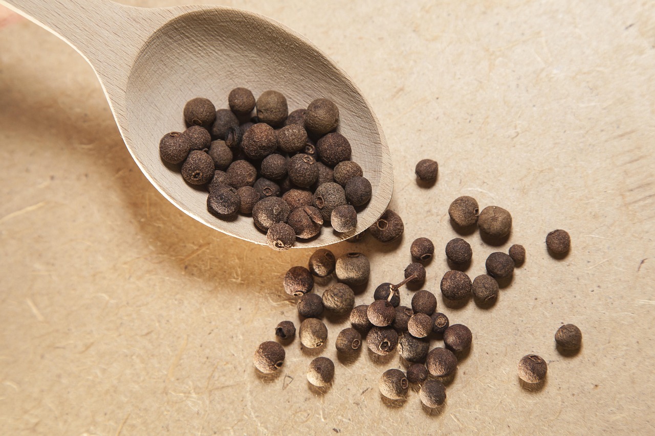 Allspice: Caribbean Flavor at Risk (image credits: pixabay)