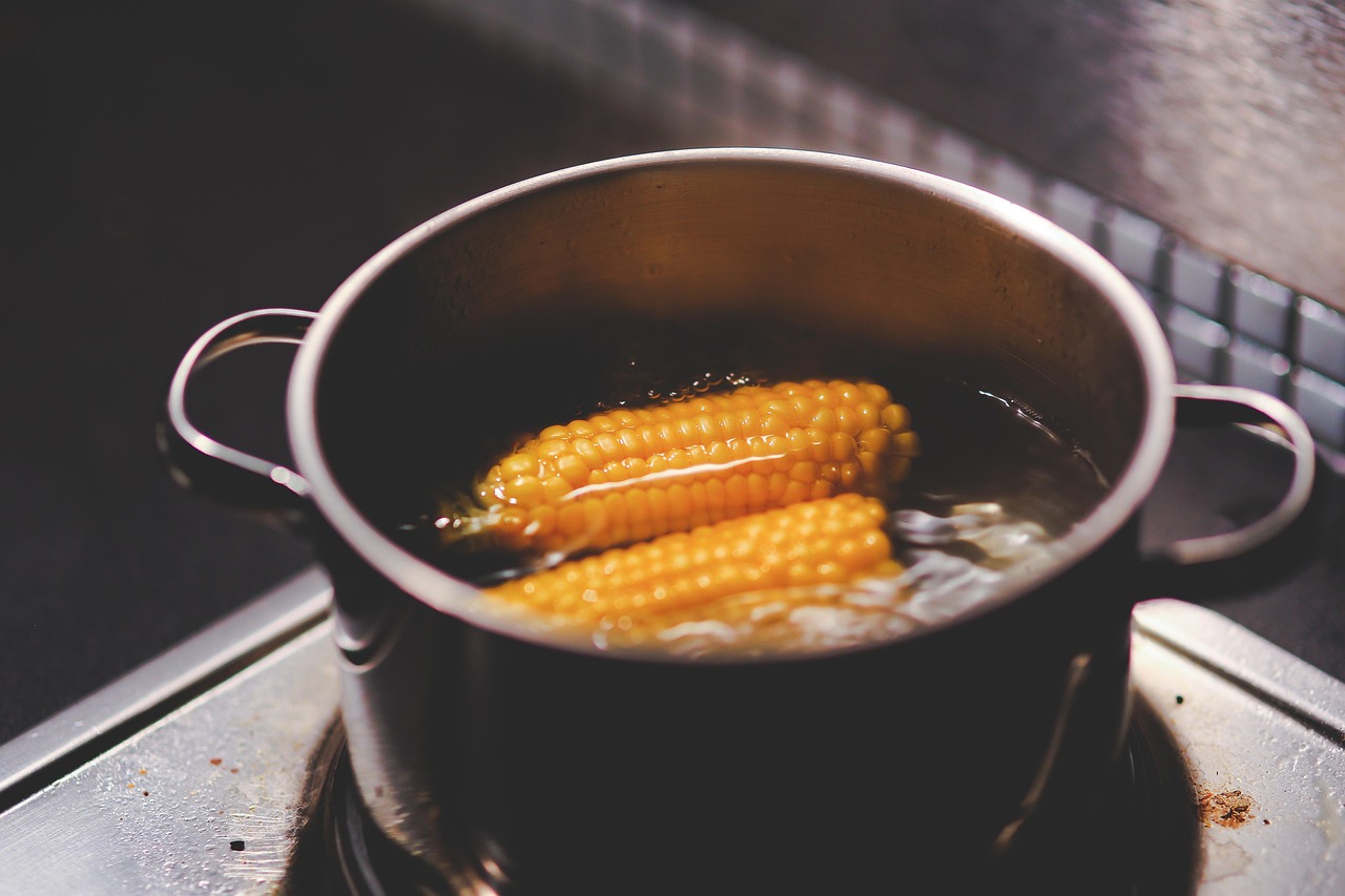 The Professional Verdict on Boiling (Image Credits: Pixabay)