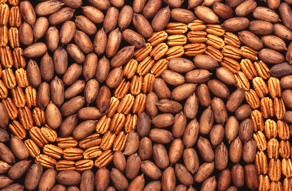 Phosphorus Overload: The Silent Saboteur in Nuts (image credits: flickr)
