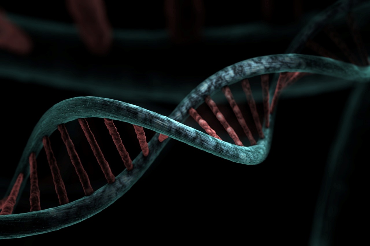 The Power of Genomic Sequencing (image credits: pixabay)