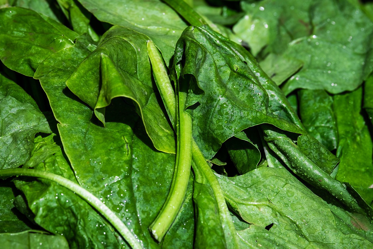 Spinach: Leafy Greens for Cognitive Longevity (image credits: pixabay)