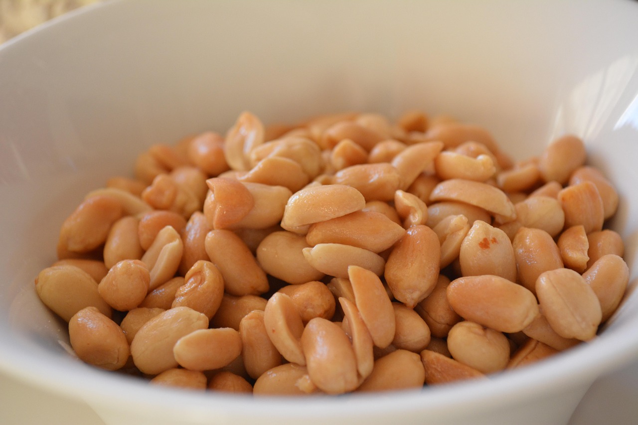 Spain's Mediterranean Nut Culture (Image Credits: Pixabay)