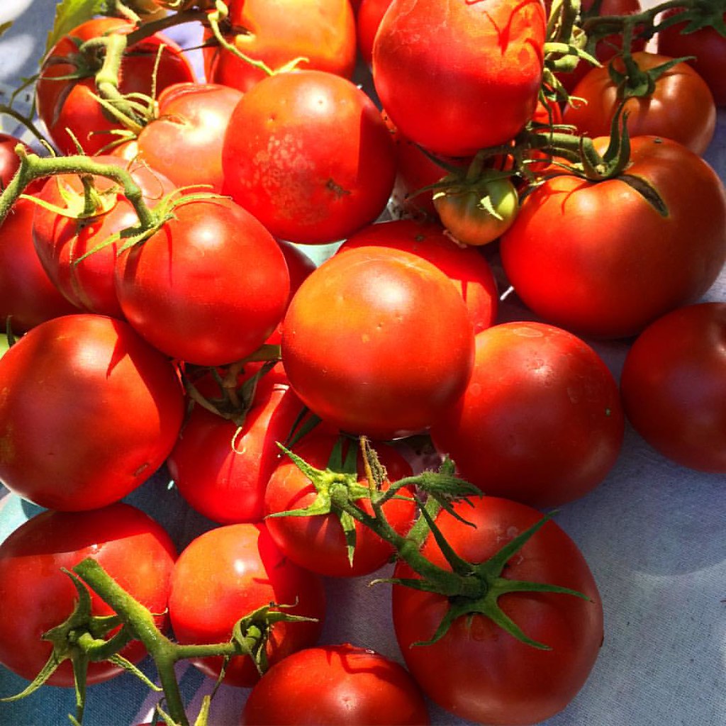 The Quick Tomato Marinara That Changes Everything (image credits: flickr)