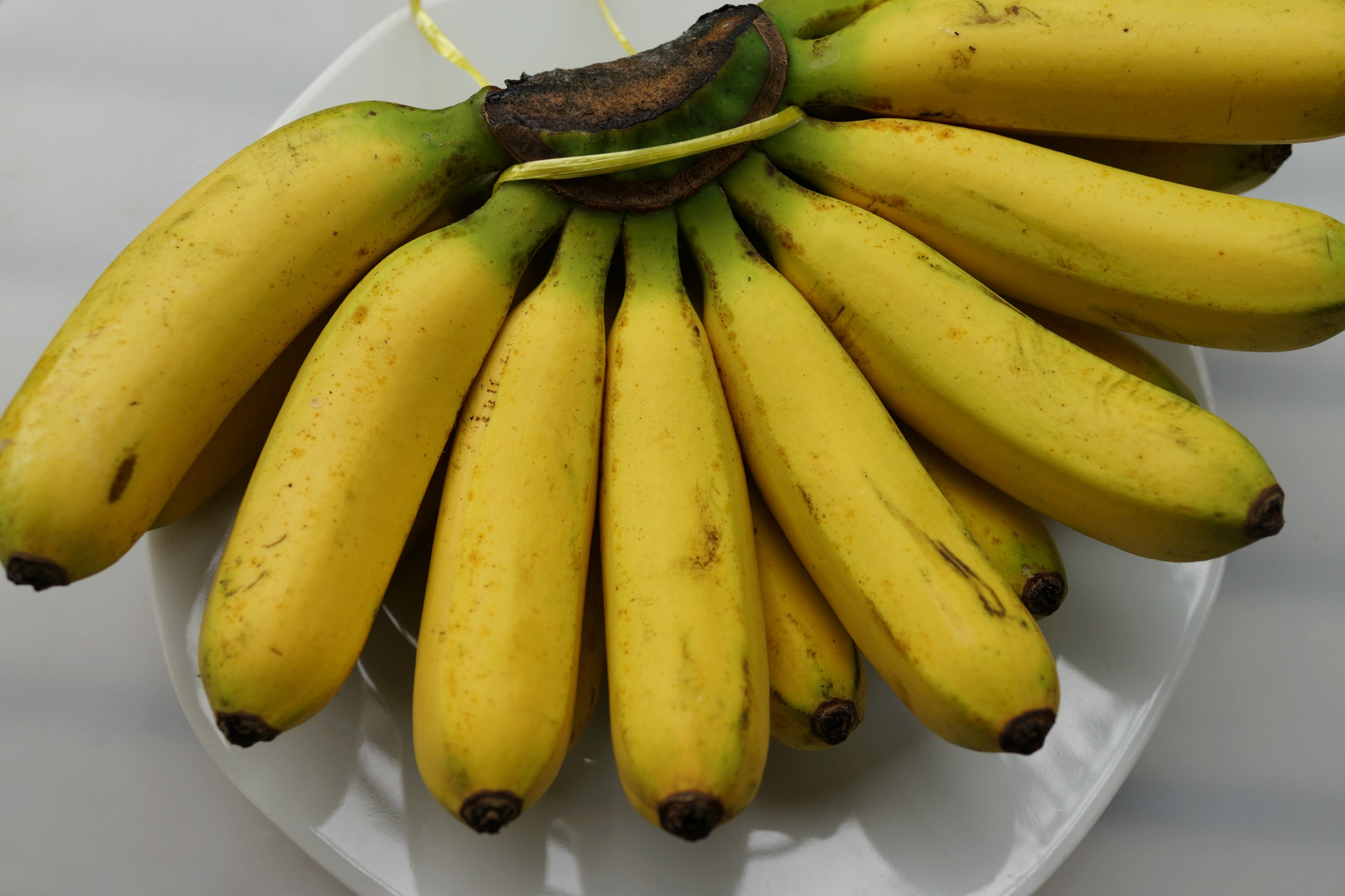 Bananas: Gentle Nutrition for Sensitive Stomachs (image credits: wikimedia)