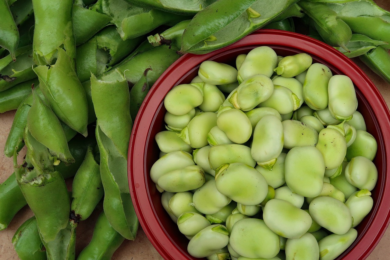 Beans and Legumes: The Fiber-Rich Blood Sugar Tamers (image credits: pixabay)