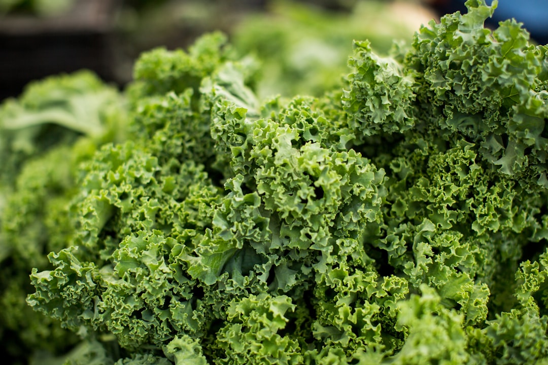 Kale: The King of Greens (image credits: unsplash)