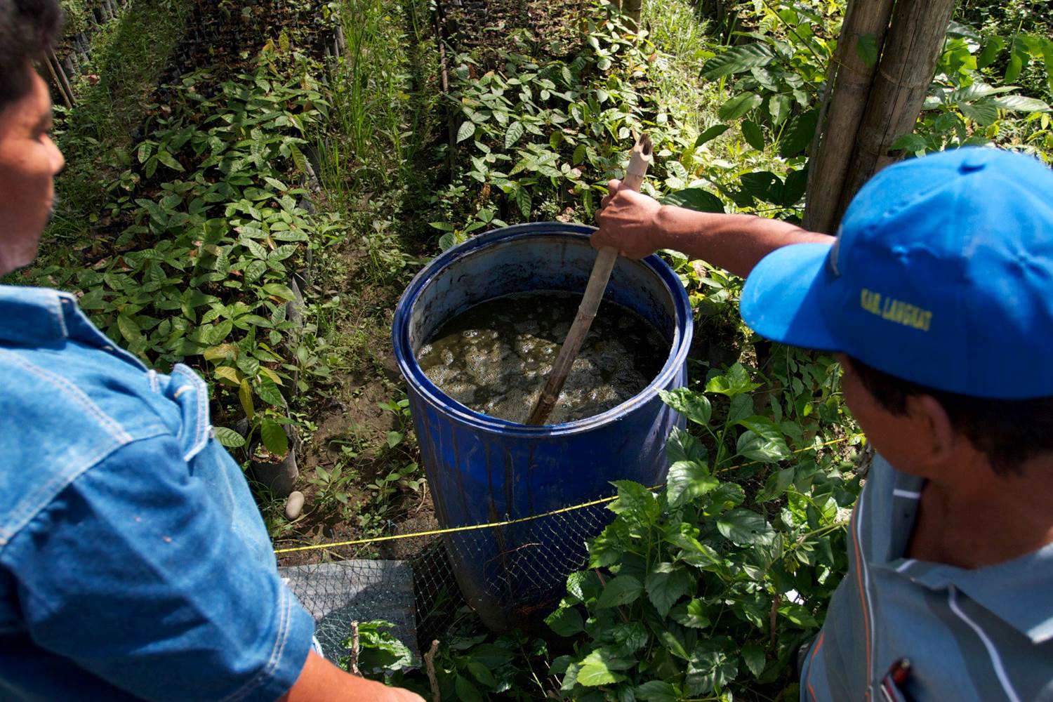 Pesticide Use: Not Always Chemical-Free (image credits: wikimedia)