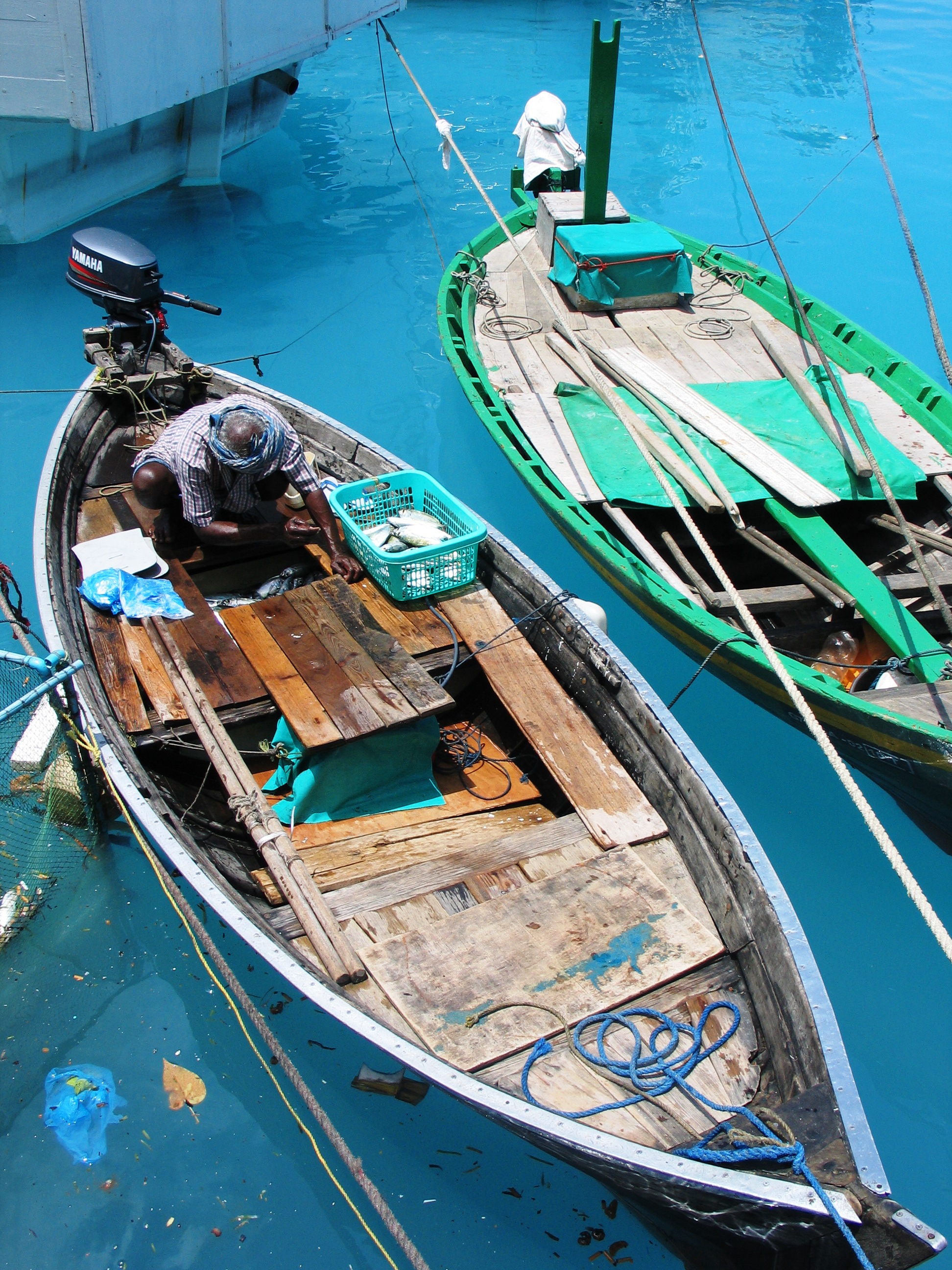 The Maldives: Tropical Paradise Built on Ocean Protein (image credits: wikimedia)