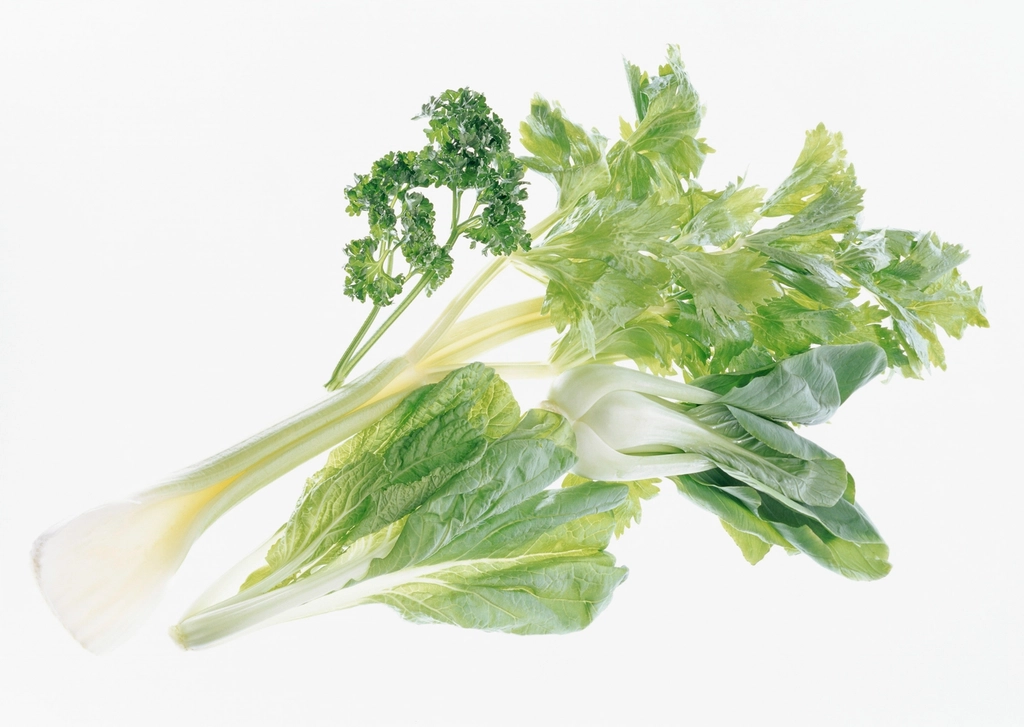 Celery: Nature’s Water-Rich Snack (image credits: rawpixel)