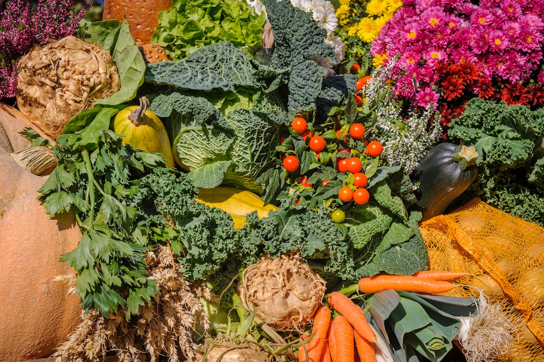Seasonal Eating and Metabolism (image credits: unsplash)