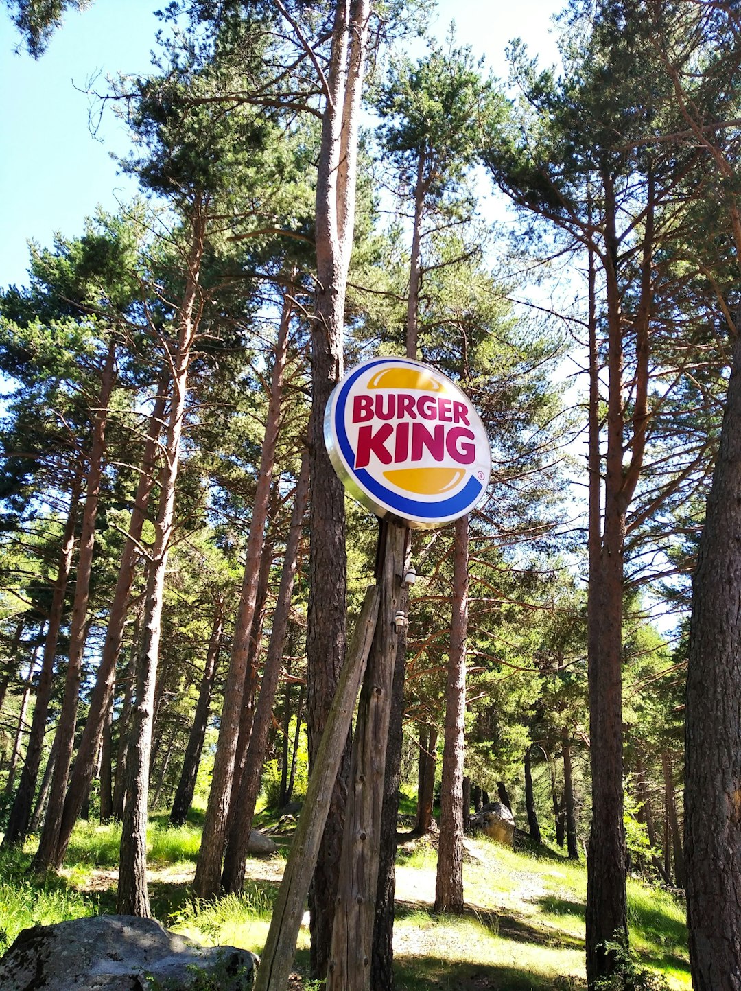 France Initially Resisted Burger King's Royal Invasion (image credits: unsplash)