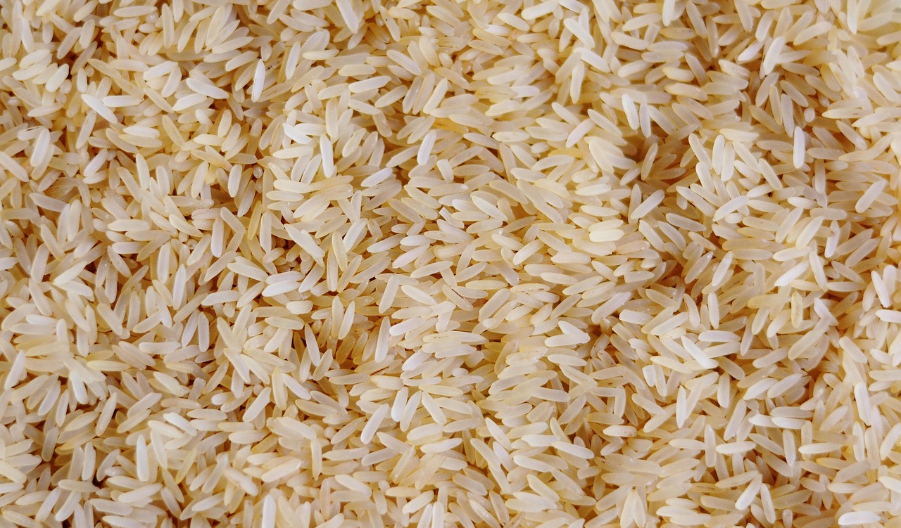 Rice and Instant Rice (image credits: pixabay)