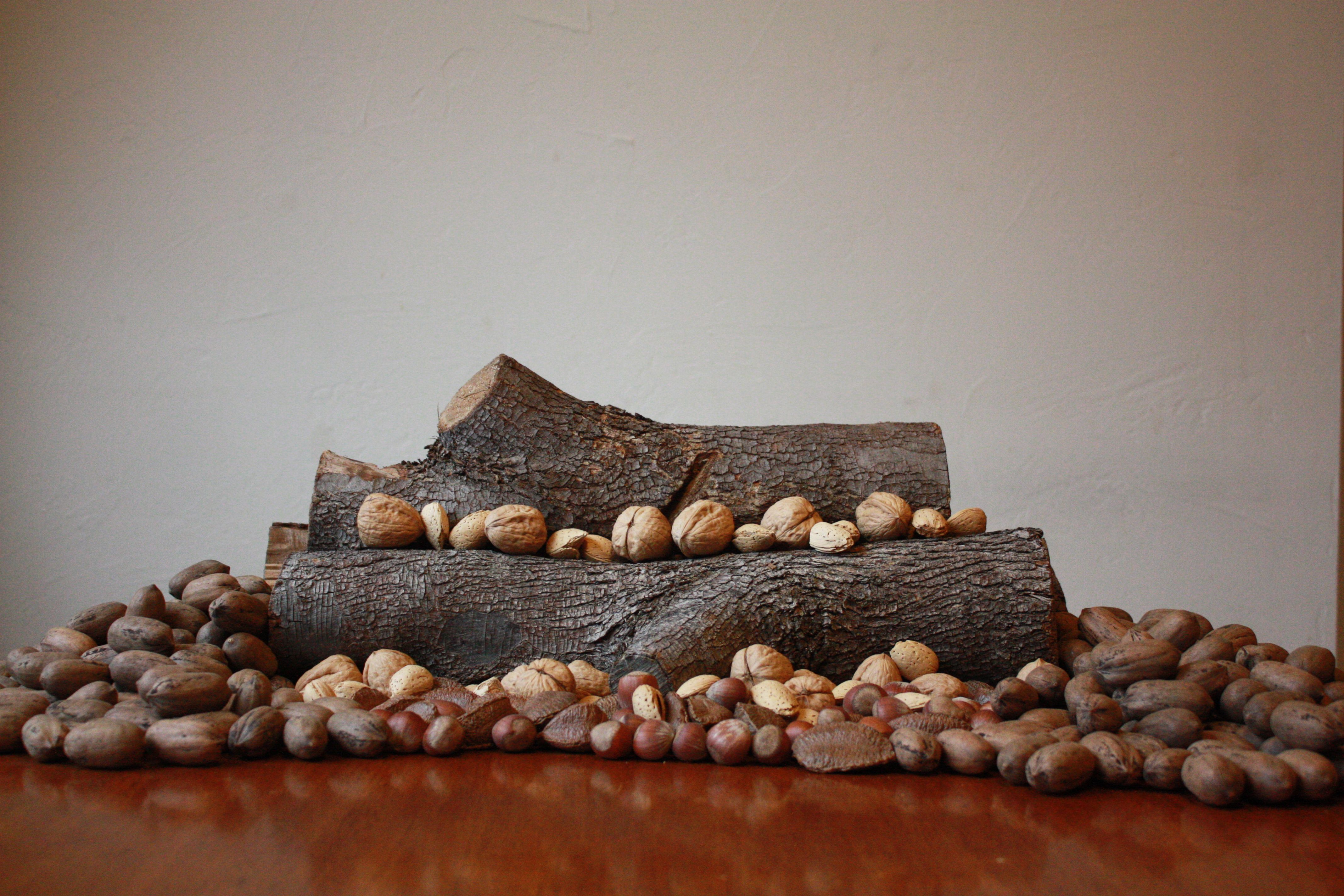 Nuts (image credits: wikimedia)