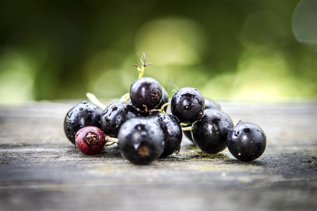 Blackcurrants - The European Delicacy Making a Comeback (image credits: unsplash)