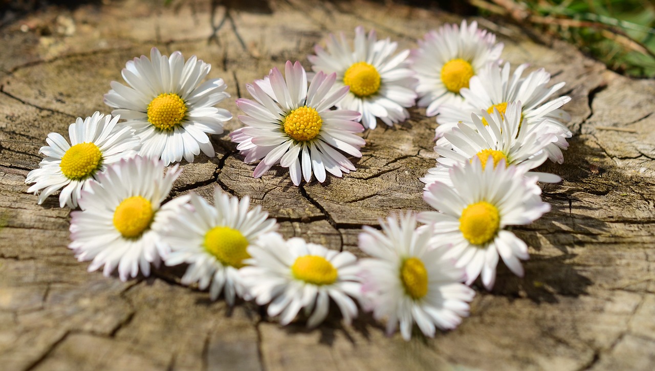 The Silent Heart Disease Connection Nobody Talks About (image credits: pixabay)