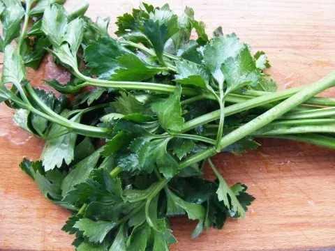 Celery Leaves (Image Credits: Wikimedia)
