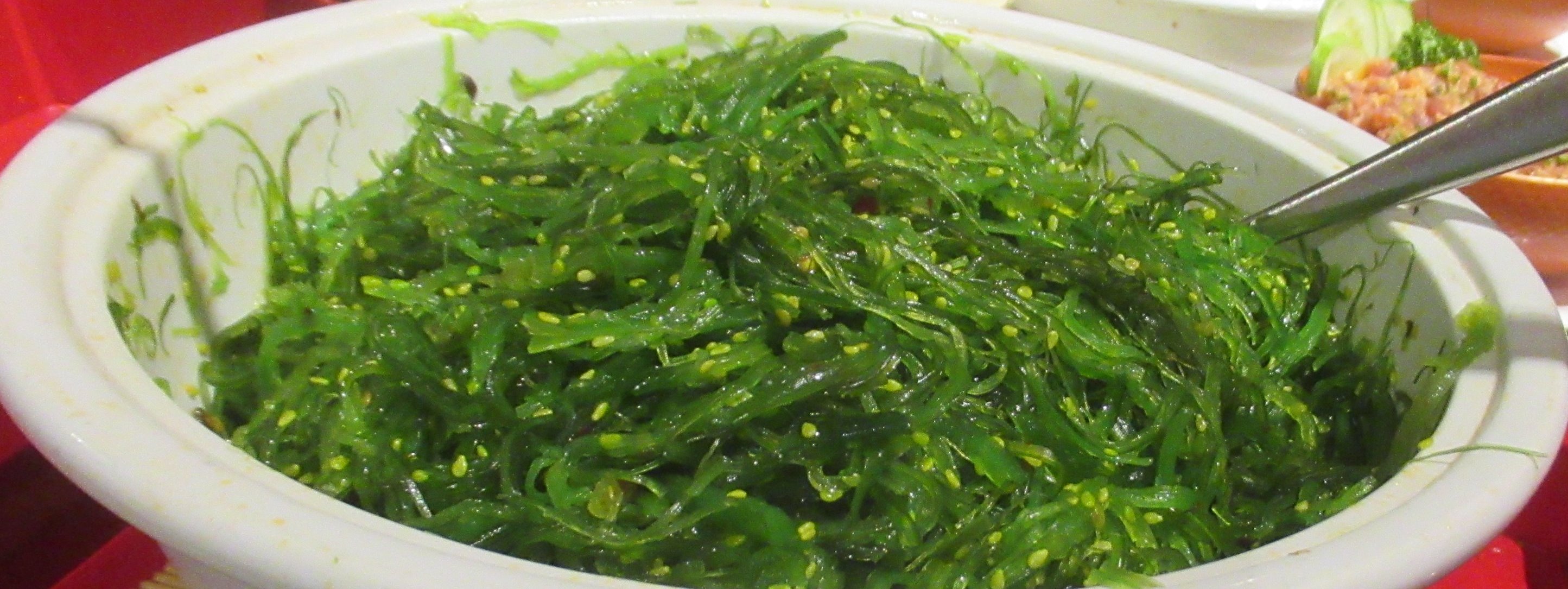 Seaweed as a Salt Substitute (image credits: wikimedia)