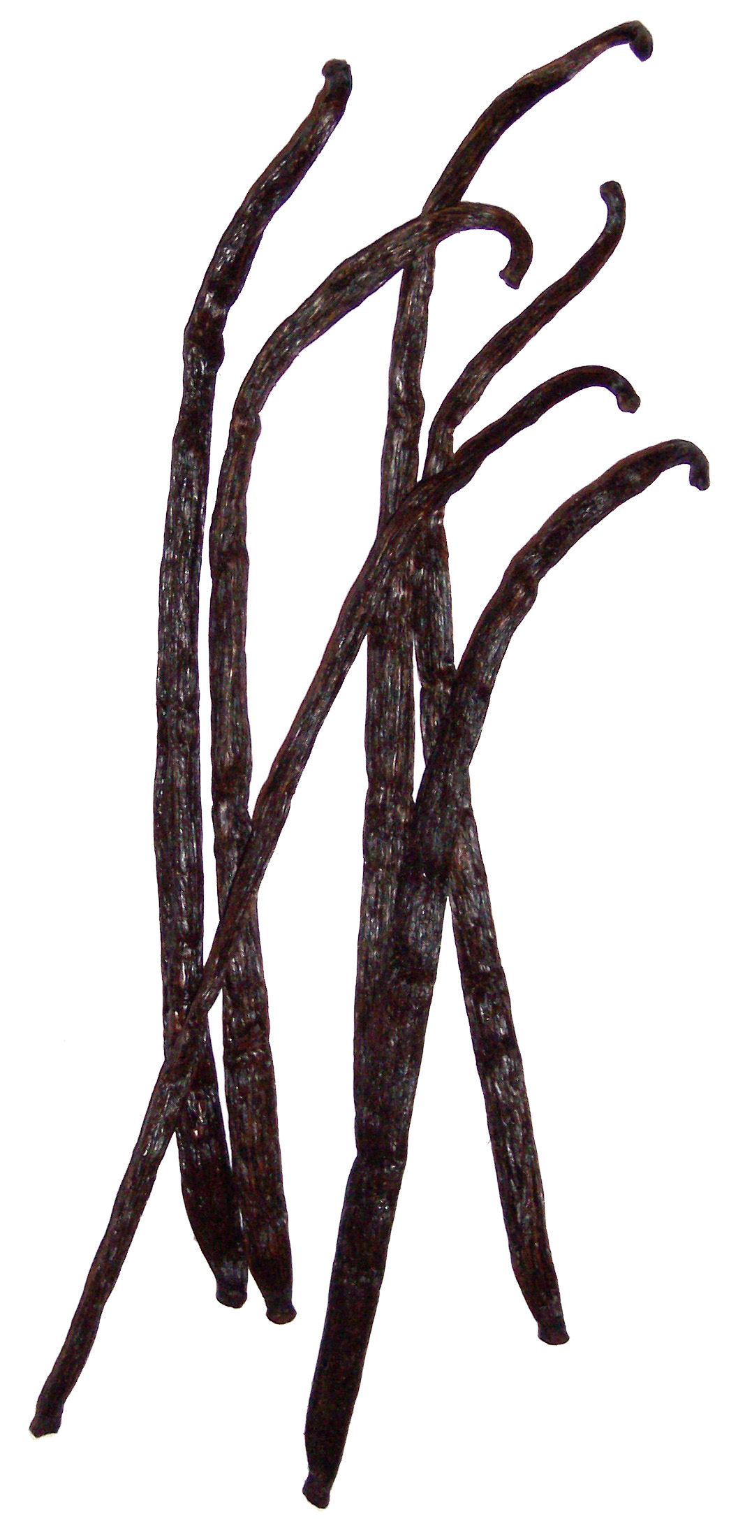 Vanilla – The Vanishing Flavor Worth Its Weight in Gold (image credits: wikimedia)