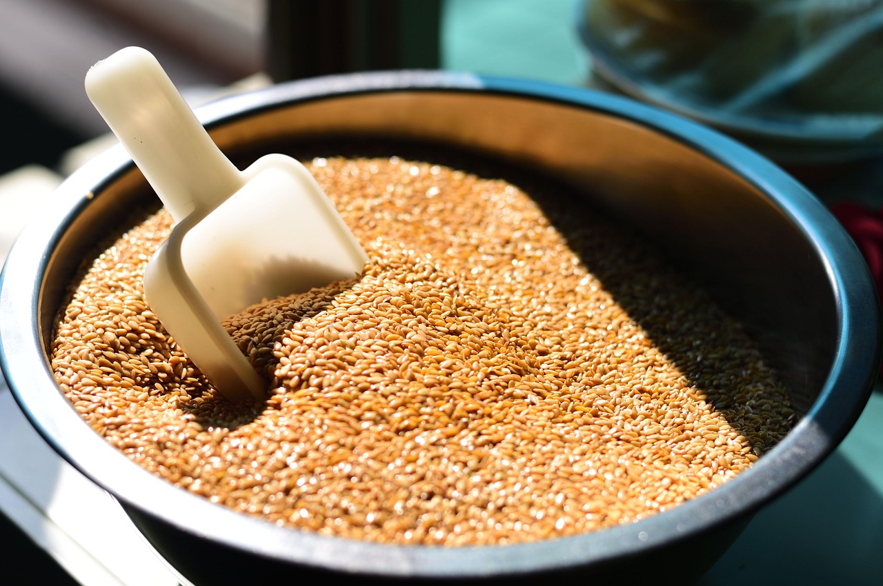 Flaxseeds (Ground): Tiny Seeds, Mighty Impact (image credits: pixabay)