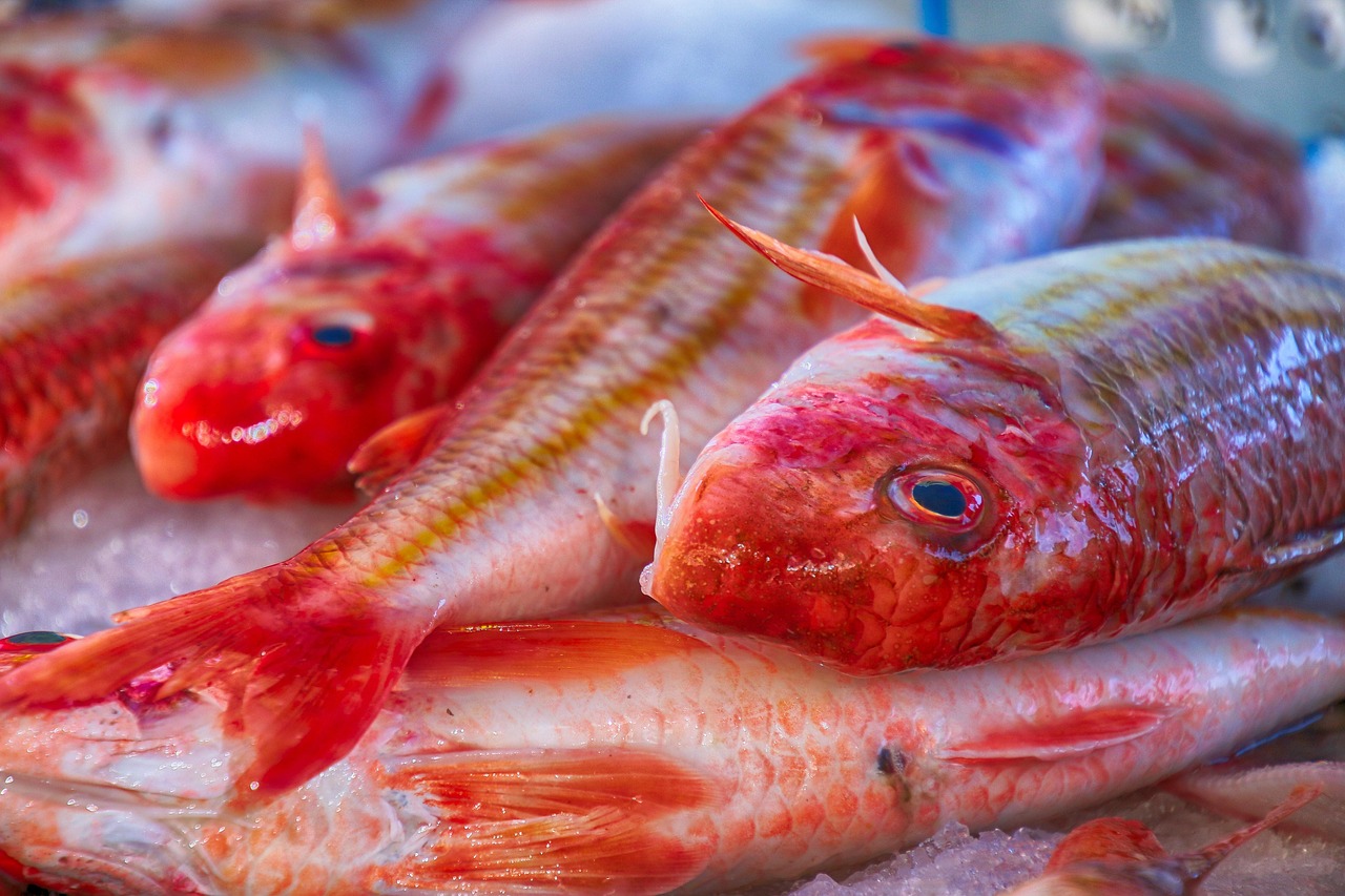 Cod: The Steady Performer (image credits: pixabay)