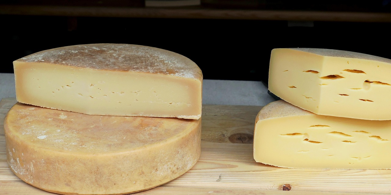 Hard Cheese - The Mold-Fighting Warrior (image credits: pixabay)