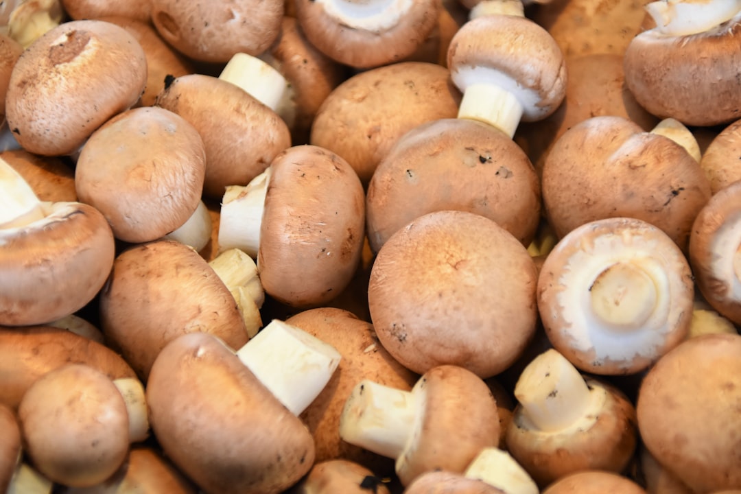 Fresh Mushrooms That Become Protein Bombs (image credits: unsplash)