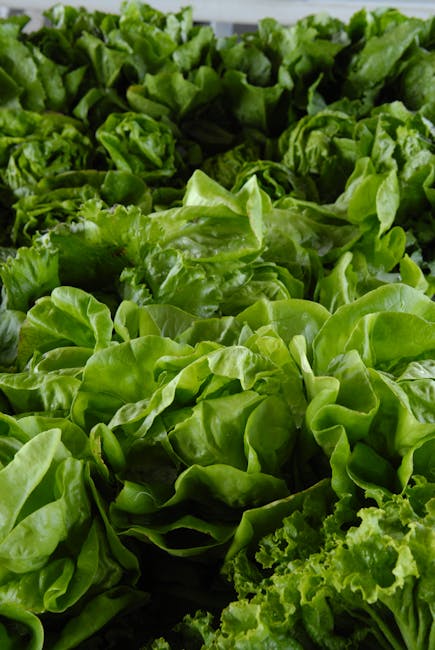 1. Leafy Greens (image credits: pexels)