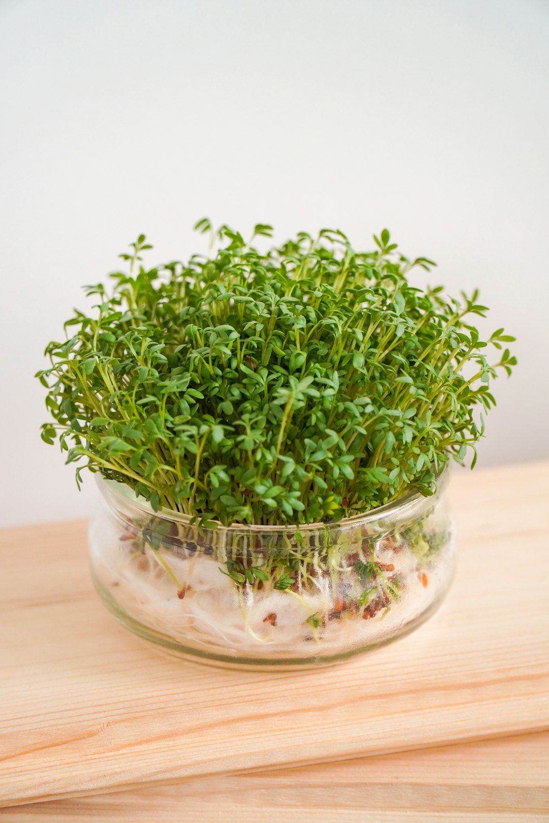 5. Watercress: The Forgotten Leafy Green (image credits: unsplash)
