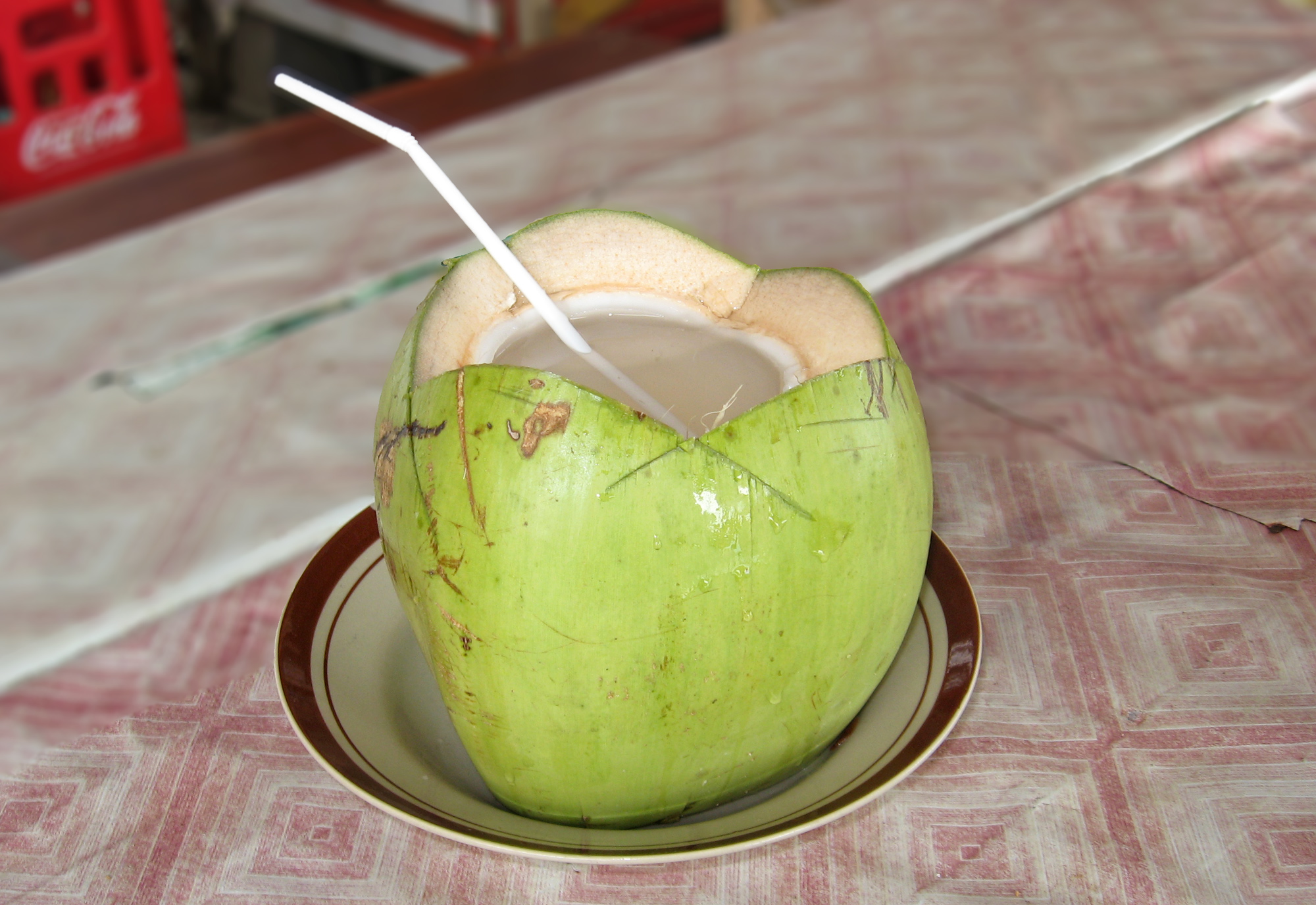 Coconut Water: Nature’s Hydration Drink (image credits: wikimedia)