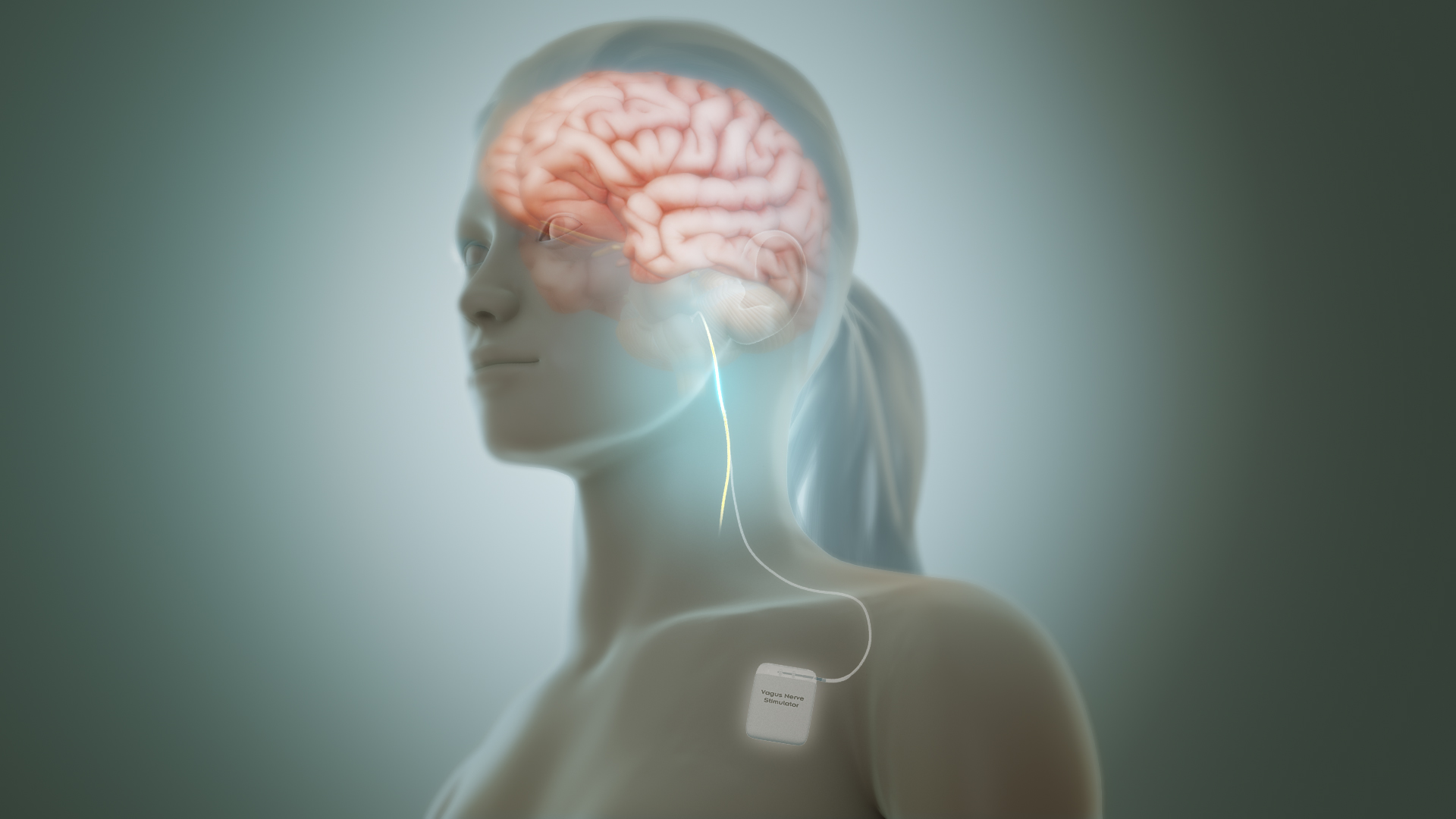 The Gut-Brain Connection That Changes Everything (image credits: wikimedia)