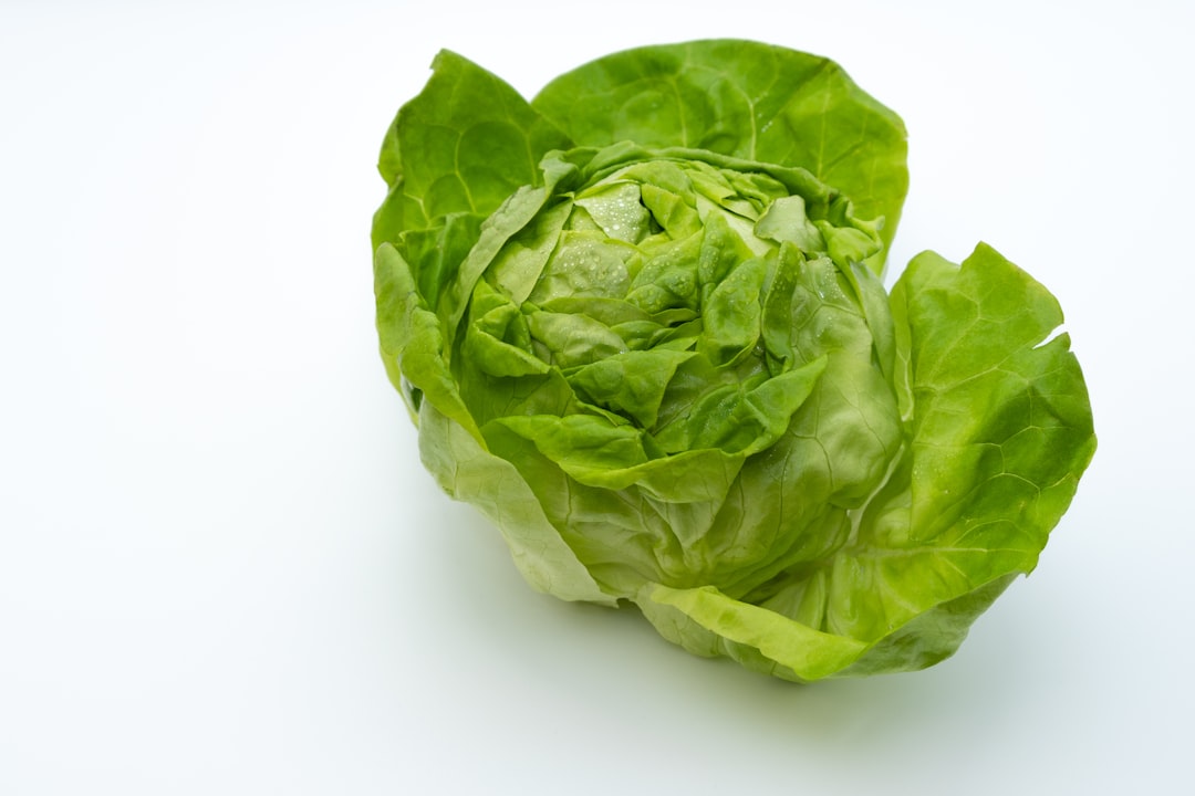 Iceberg Lettuce: The Least Nutritional Punch (image credits: unsplash)