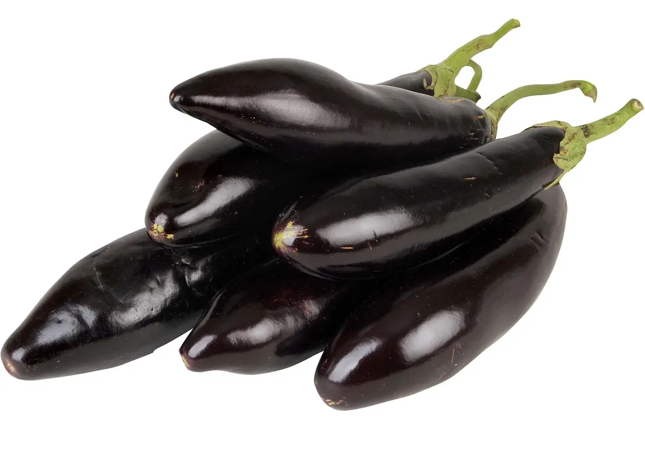 4. Eggplant: A Nightshade Berry With a Dark History (Image Credits: Pixabay)