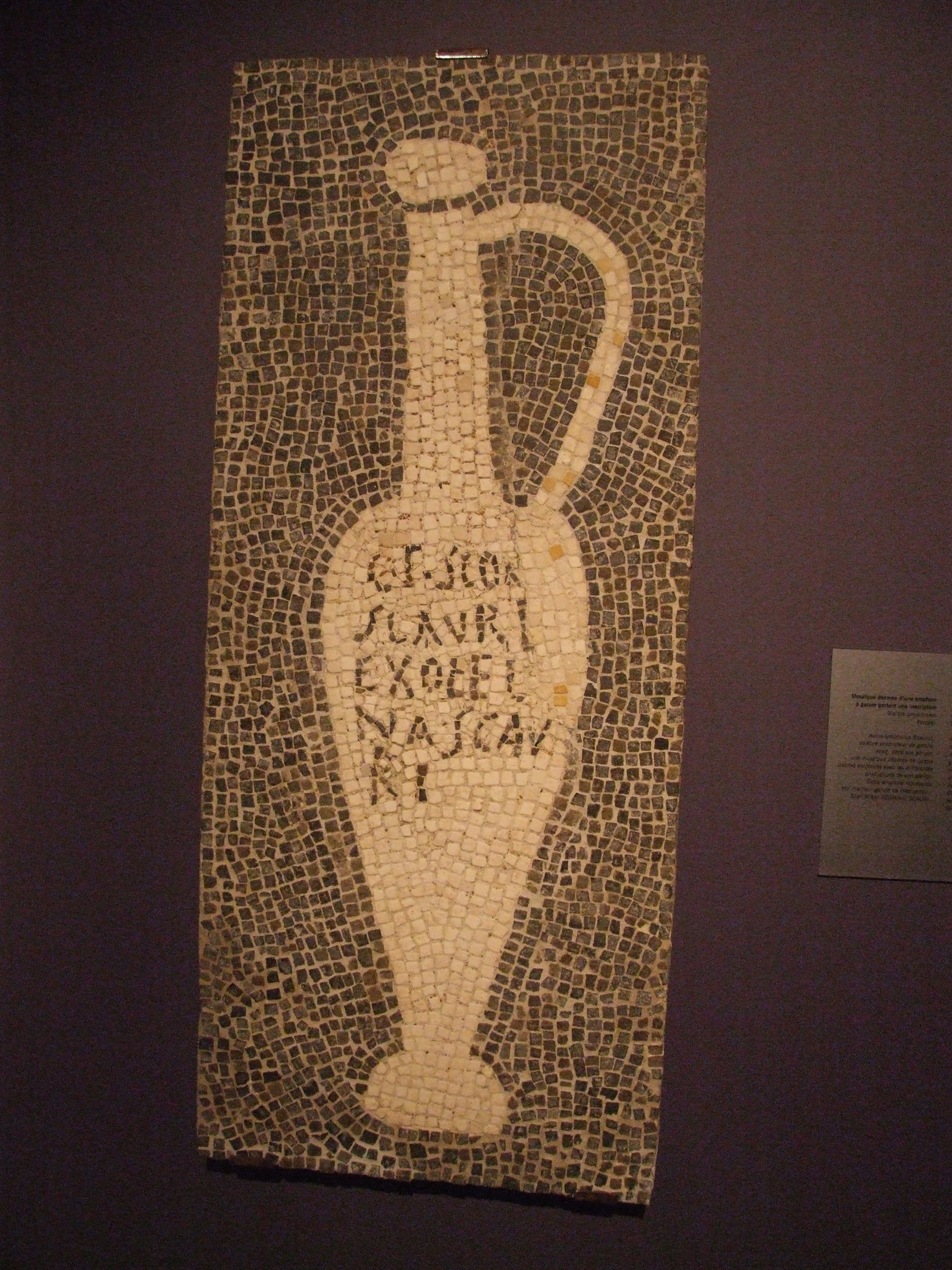 Roman Garum: The Fermented Fish Sauce (image credits: wikimedia)