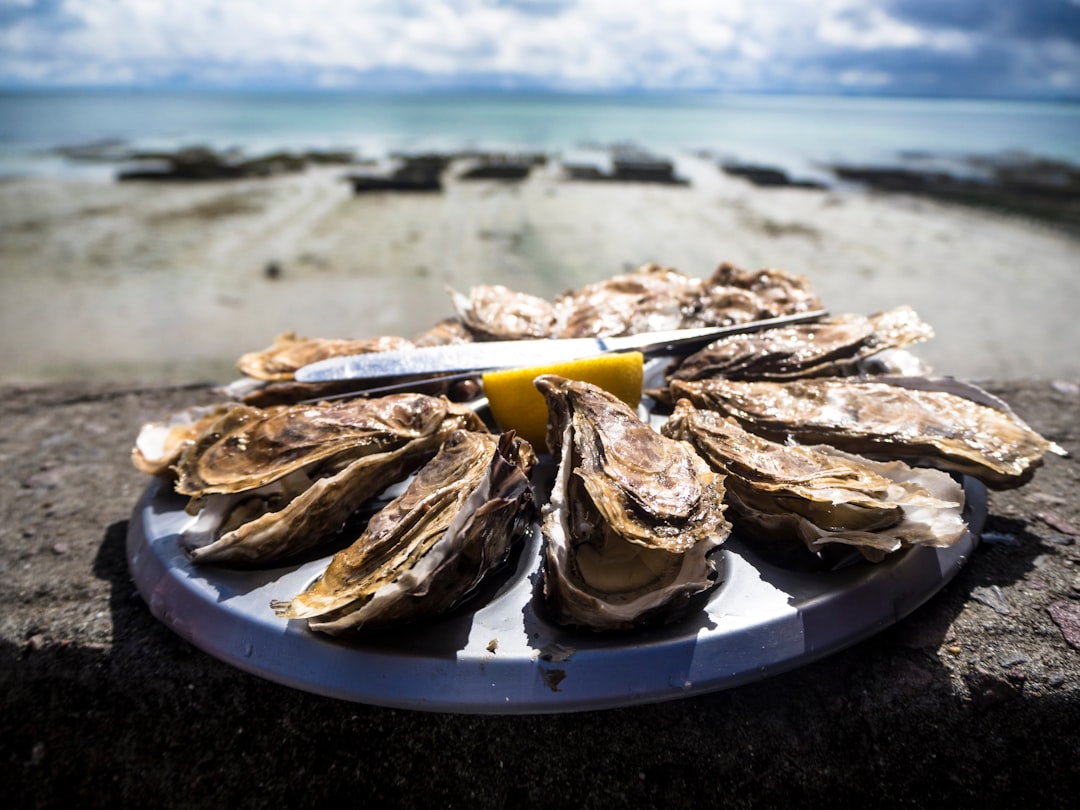Oysters (image credits: unsplash)