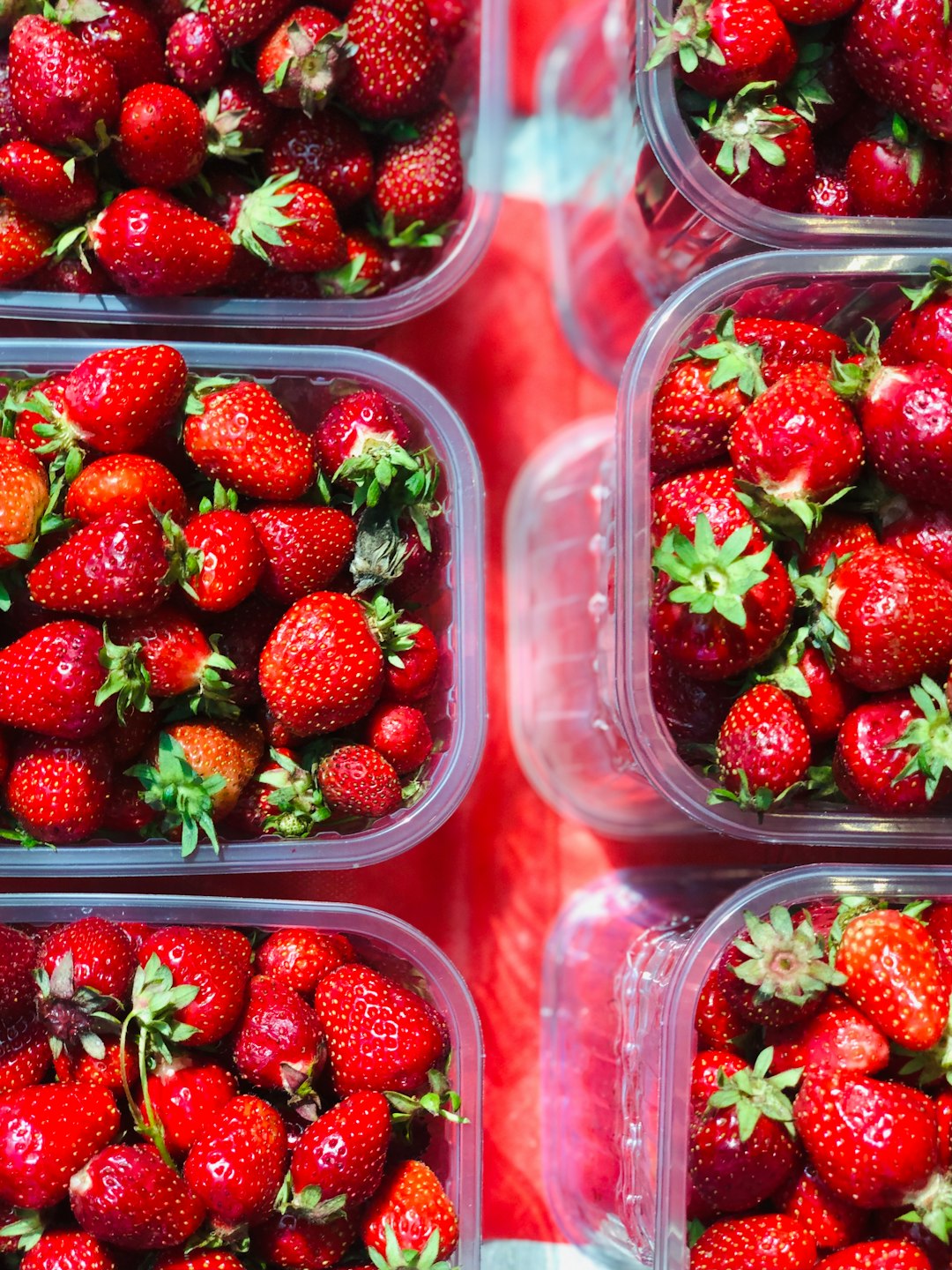 BPA and Phthalates in Plastic Storage Containers (image credits: unsplash)