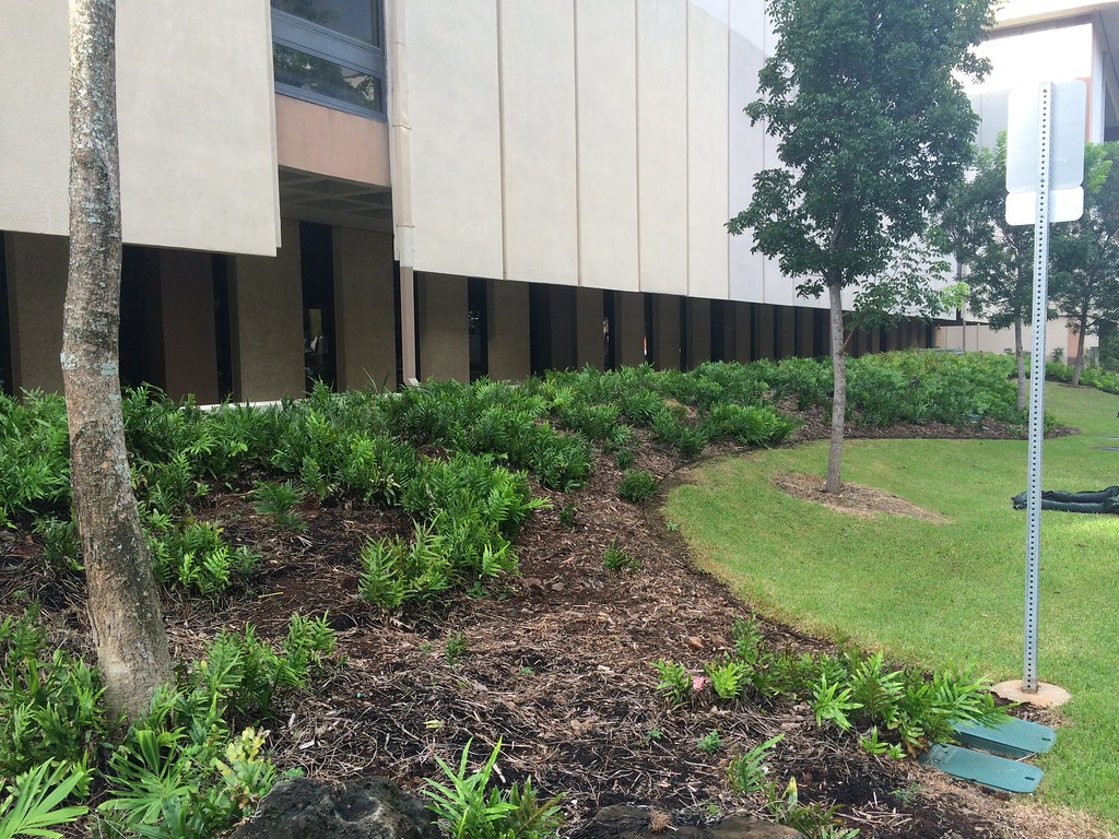 Water Wars Are Getting Real for Nut Growers (image credits: flickr)