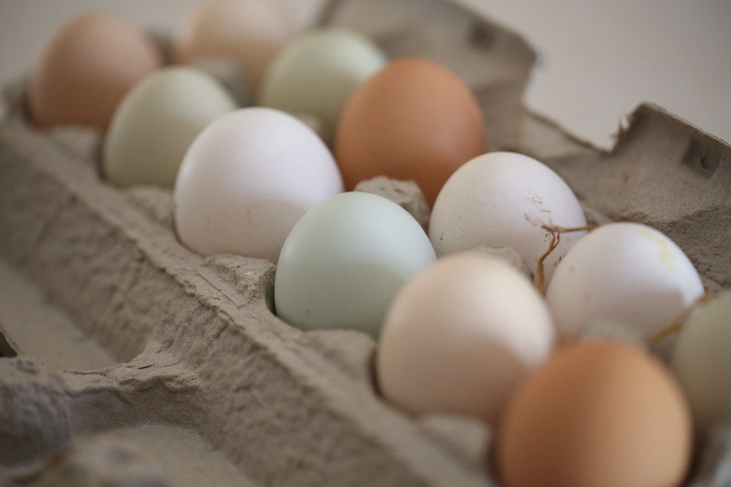 Organic Eggs and Cage-Free Confusion (image credits: flickr)